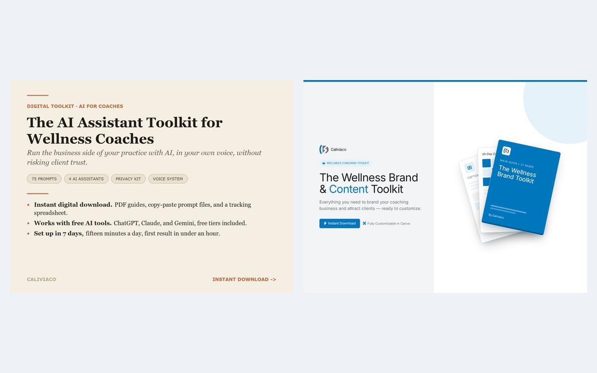 The two toolkit covers side by side: The AI Assistant Toolkit and The Wellness Brand and Content Toolkit